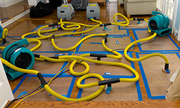Professional Water Damage Restoration technician working in Peculiar, MO